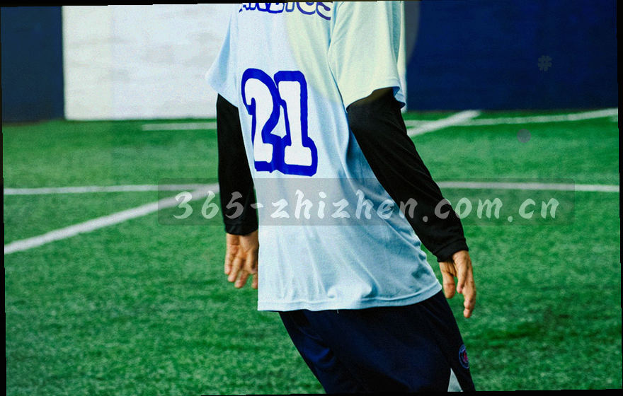 打开的档案袋中露出结构文件与文案文件两份索引卡